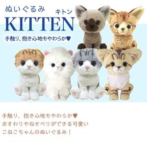 Kitten キトン ラグドール ぬいぐるみ ...の詳細画像1