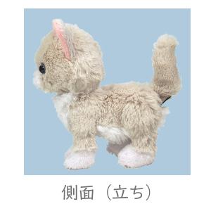 Kitten キトン ラグドール ぬいぐるみ ...の詳細画像2