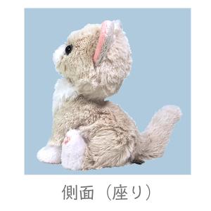 Kitten キトン ラグドール ぬいぐるみ ...の詳細画像5