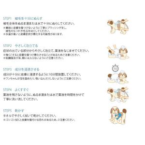 使用期限2028.3月 2本 マラセキュア シ...の詳細画像4