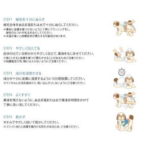 使用期限2028.3月 マラセキュア 250m...の詳細画像4