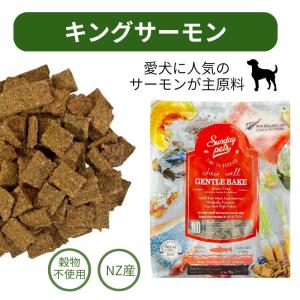 シュプレモ 3kg ニュートロ 超小型犬〜小型犬用 エイジングケア 犬用