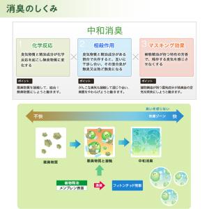 【ポスト投函送料無料】【交換用S】NEW エコ...の詳細画像2