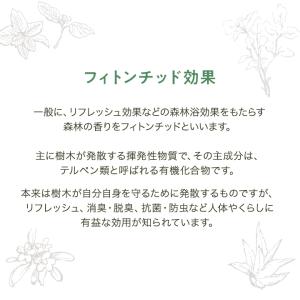 【ポスト投函送料無料】【交換用S】NEW エコ...の詳細画像3