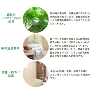 【ポスト投函送料無料】【交換用S】NEW エコ...の詳細画像4