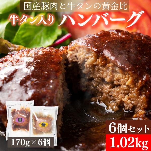 ハンバーグ 牛タン入りハンバーグ 冷凍 肉惣菜 170g×6個セット 国産豚と牛タンの黄金比 濃厚デ...