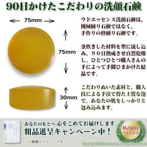 ウドエッセンス洗顔石鹸 100g 「四万十育ち...の詳細画像2