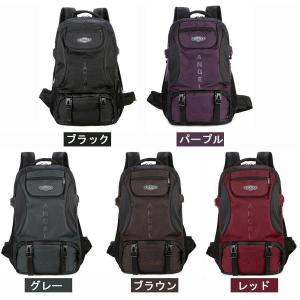 登山用リュック 45L 65L バックパック リュックサック 大容量 リュック 登山 旅行 防災 遠足 軽量 撥水 アウトドア 男女兼用 レディース メンズ ザック
