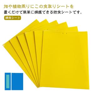 【50枚セット】 虫よけ 粘着シート ハエ取り...の詳細画像5