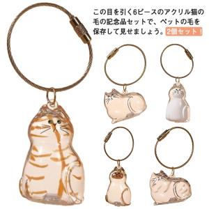 【2個セット】猫の毛収納ボトル キーホルダー 猫...の商品画像