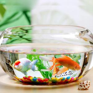 高透明度 金魚鉢 丸型金魚鉢 水槽 小型水槽 ...の詳細画像1