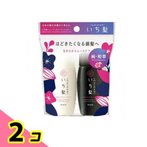 いち髪 なめらかスムースケア シャンプー&コンディショナー ミニセット 2種入 2個セット
