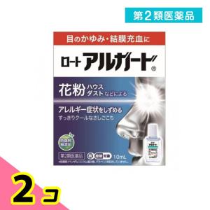 第２類医薬品 ロートアルガード 10mL 目薬 花粉症 目のかゆみ 結膜炎 充血 アレルギー 点眼薬 2個セット