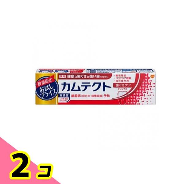 歯磨き粉 フッ素 虫歯 歯周病 歯茎ケア オーラルケア カムテクト 歯ぐきケア 薬用ハミガキ 105...