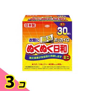 ホッカイロ ぬくぬく日和 貼るタイプ ミニ 30...の商品画像