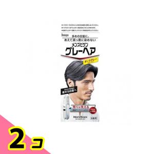 ホーユー メンズビゲン グレーヘア ダークグレー (80g) 【医薬部外品