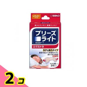 ブリーズライト エクストラ ベージュ色タイプ レギュラーサイズ 24枚 2個セット
