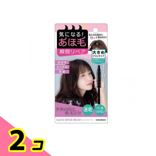 クイックリペアブラシ まとめ髪ポイントフィクサー 1個入 2個セット