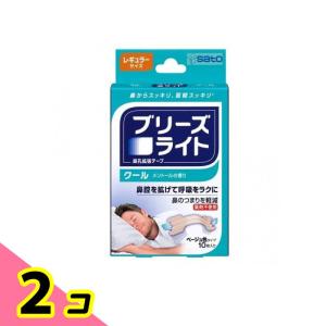 ブリーズライト クール(メントールの香り) ベージュ色タイプ 10枚 (レギュラーサイズ) 2個セット