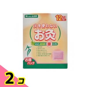 せんねん灸 5箱セット セネファ せんねん灸オフ レギュラーきゅう 伊吹