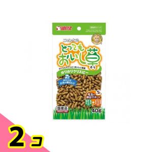 サンライズ ニャン太のとってもおいし草 カリカリクリスピー 40g 2個セット