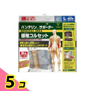 バンテリンコーワサポーター 腰椎コルセット 大きめLサイズ 1枚入 (ブルーグレー) 5個セット