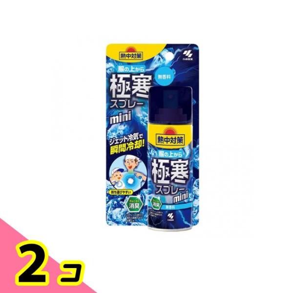 桐灰化学 熱中対策 服の上から極寒スプレー 無香料 93mL (ミニ) 2個セット