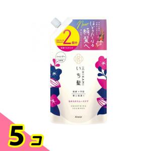 いち髪 なめらかスムースケアシャンプー 詰替用 大サイズ 660mL 5個セット