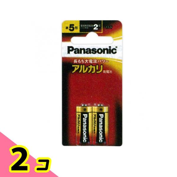 パナソニック アルカリ乾電池 単5形 LR1XJ/2B 2本セット 2個セット