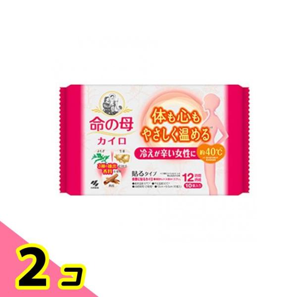 命の母カイロ 貼るタイプ 12時間持続 10個入 2個セット