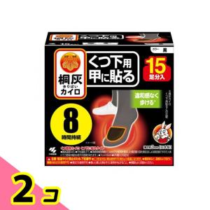 桐灰カイロ くつ下用 甲に貼る 黒 15足分入 2個セット｜みんなのお薬ビューティ&コスメ店