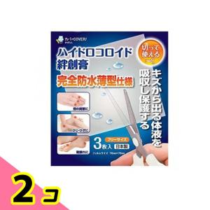 ハイドロコロイド絆創膏 フリーサイズ ( 3枚入*3個セット ) : 爽快