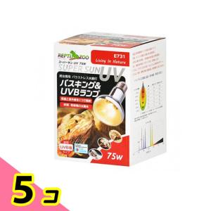 REPTIZOO 爬虫類用ランプ スーパーサンUV 75W E731 1個入 5個セット