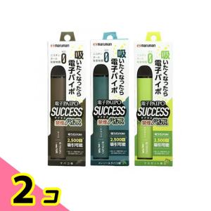 電子PAIPO SUCCESS タバコ味 &メンソールタバコ味 &マスカット味 各1本入 2個セット