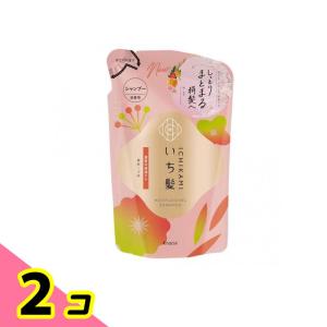 いち髪 濃密W保湿ケアシャンプー 詰め替え用 320mL 2個セット