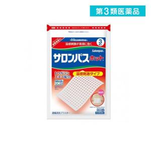 サロンパスホットの商品画像