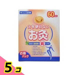 せんねん灸 5箱セット セネファ せんねん灸オフ ソフトきゅう 竹生島