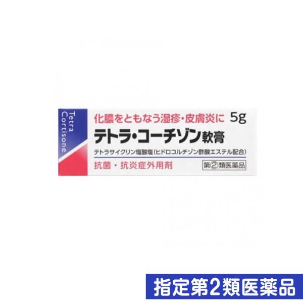 指定第２類医薬品テトラ・コーチゾン軟膏 5g 化膿止め 塗り薬 ステロイド 抗生物質 湿疹 皮膚炎 ...