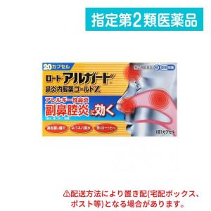 ロートアルガード鼻炎内服薬ゴールドＺの商品画像