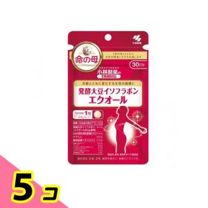 ファイナルバーン225粒×2個セット ファインラボ FINAL BURN(ファイナルバーン) VER II ( 225粒*2個セット