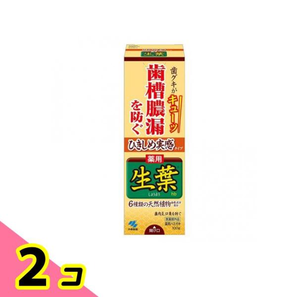 ひきしめ生葉(しょうよう)hb 100g 2個セット