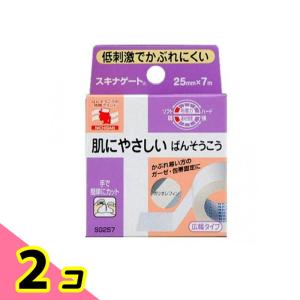 NICHIBAN（ニチバン） 肌にやさしいばんそうこう スキナゲート 25mm×7m