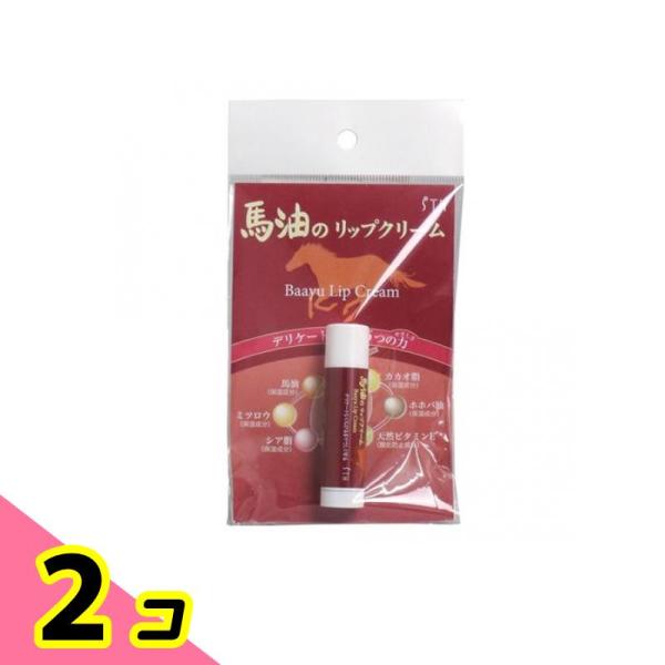 エス・ティ・ヒッツ(STH) 馬油のリップクリーム 4g 2個セット