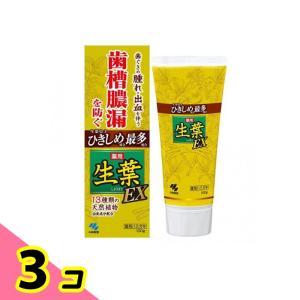 歯磨き粉 歯槽膿漏 歯茎 虫歯 口臭 生葉(しょうよう)EX 100g 3個セット