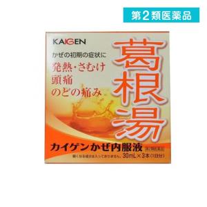 カイゲンかぜ内服液の商品画像