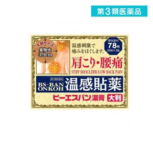 ビーエスバン温膏の商品画像