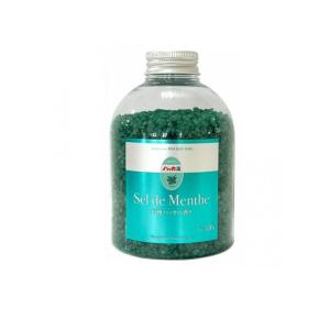 2980円以上で注文可能 入浴剤 バスソルト ハッカ 北見ハッカ通商 Sel de Menthe セル・デ・メンタ 徳用ボトル 450g (1個)
