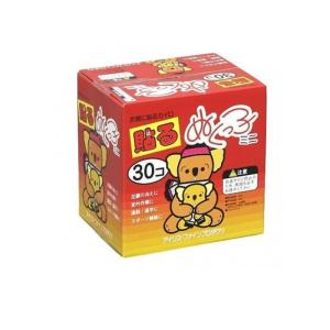 2980円以上で注文可能 貼るぬくっ子 ミニサイズ 衣類に貼るカイロ 30個入 (1個)