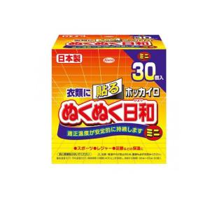 2980円以上で注文可能 ホッカイロ ぬくぬく日和 貼るタイプ ミニ 30個入 (1個)