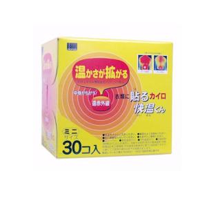 2980円以上で注文可能 貼るカイロ快温くんミニ 30個入 (1個)